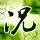 智联招聘